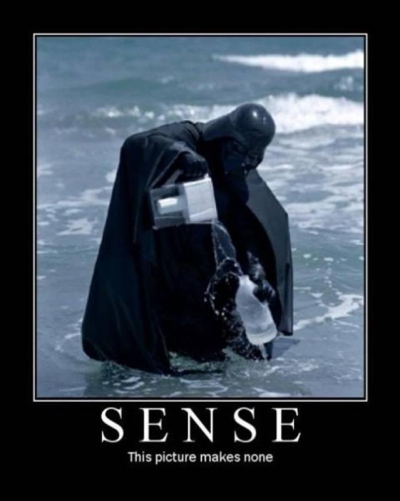 Sense - This Picture Makes None